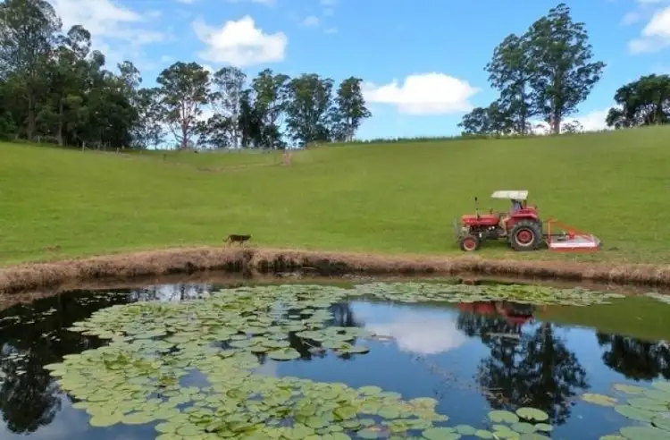 Fifth view of Homely rural property listing, 53 Williams Hill Road, Yarranbella NSW 2447
