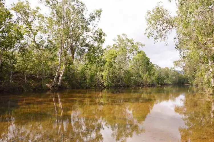 Third view of Homely house listing, 402 Forestry Road Road, Bluewater QLD 4818