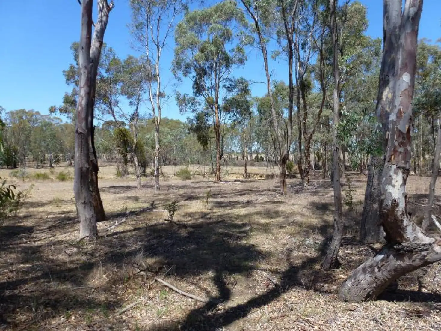 Main view of Homely land listing, ca 88J Lexton-Talbot Road, Evansford VIC 3371