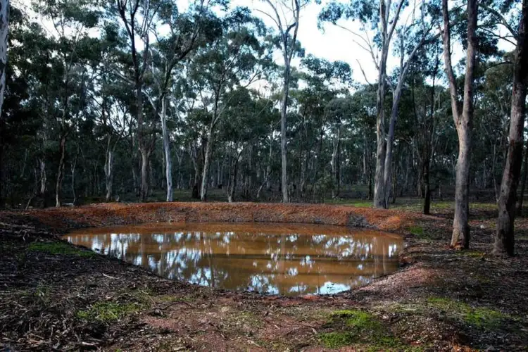 Seventh view of Homely rural property listing, 85 Pilchers Road, Red Lion VIC 3371