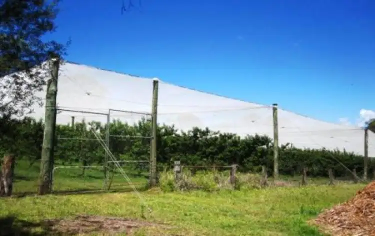 Second view of Homely rural property listing, Address available on request