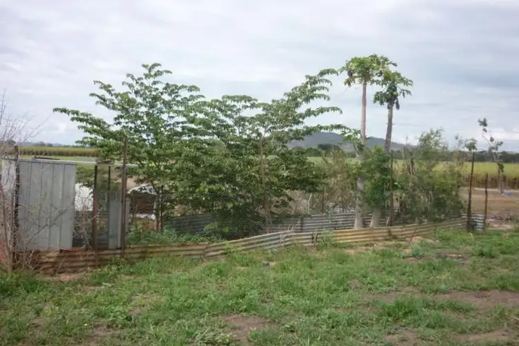 Fifth view of Homely rural property listing, 294 Mountainview Road, Airville QLD 4807