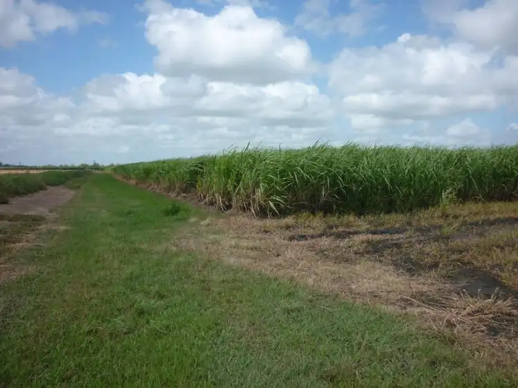 Seventh view of Homely rural property listing, 43 Jack Road, Brandon QLD 4808