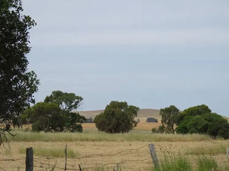 65 Albert  Street, Clunes VIC 3370