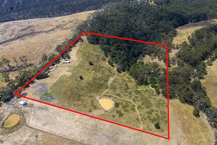 Fourth view of Homely rural property listing, 150 Neck Track, Barwon Downs VIC 3243