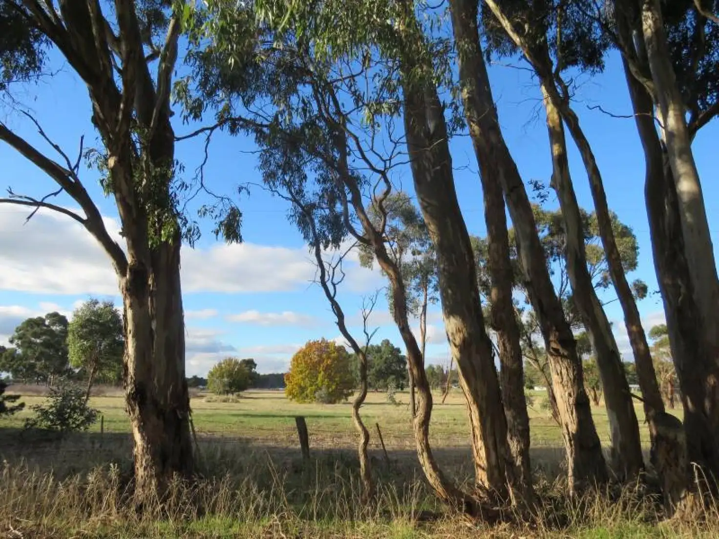 Main view of Homely rural property listing, 3660 Ballarat-Maryborough Road, Clunes VIC 3370