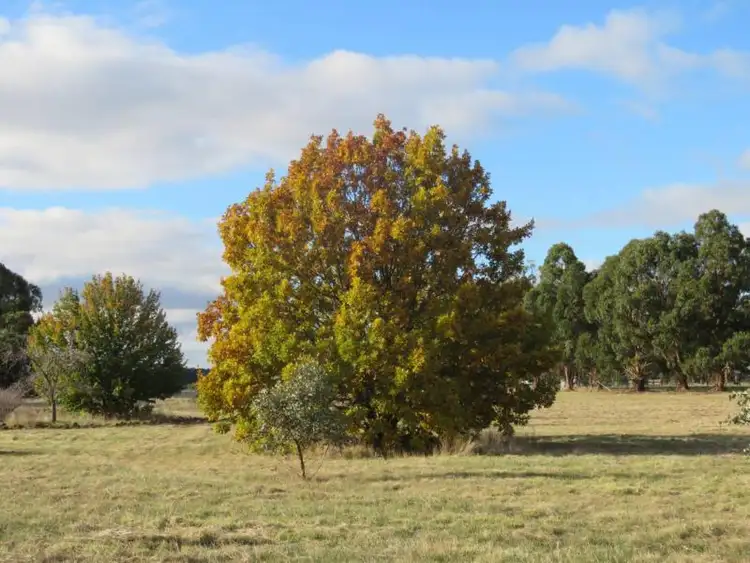 Third view of Homely rural property listing, 3660 Ballarat-Maryborough Road, Clunes VIC 3370