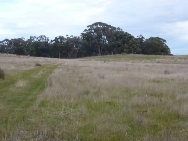 Sixth view of Homely rural property listing, 1377 Creswick-Newstead Road, Campbelltown VIC 3364