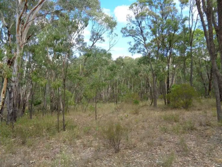 Seventh view of Homely rural property listing, 125 Tilly Willy Road, Coolah NSW 2843