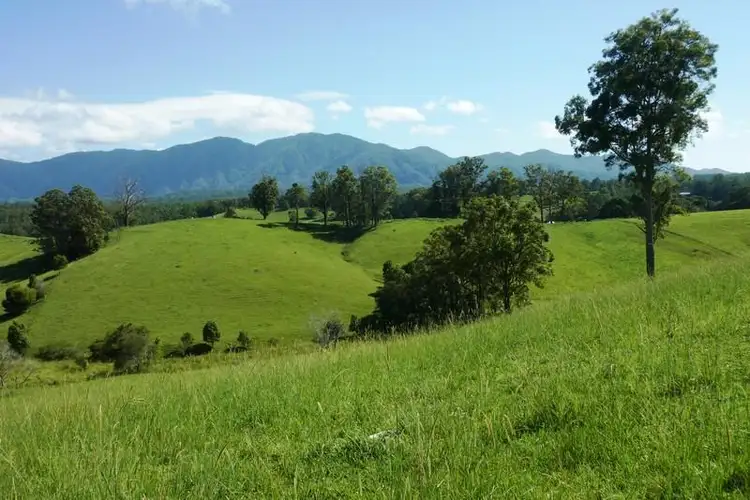 Lot 8/285 Hydes Creek  Road, Bellingen NSW 2454
