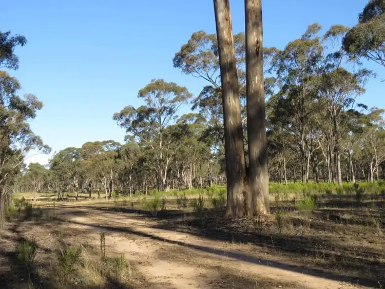 Ca 14N,1C Quarry  Track, Talbot VIC 3371