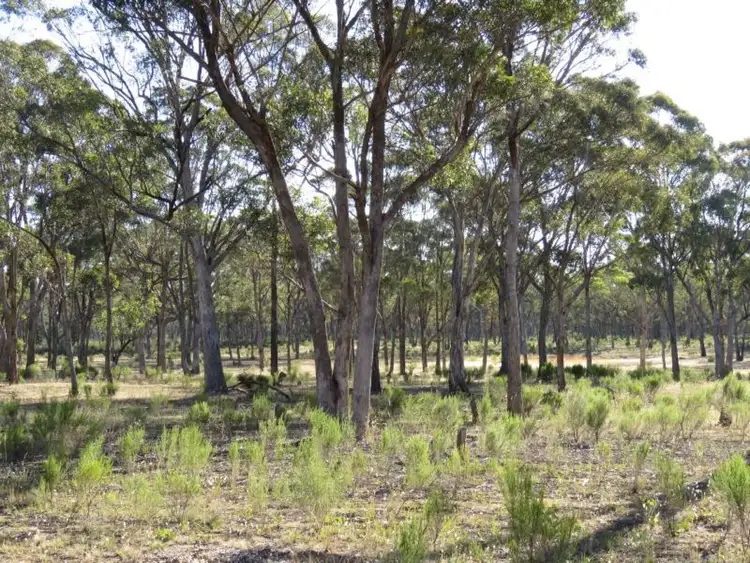 Third view of Homely rural property listing, Ca 14N,1C Quarry Track, Talbot VIC 3371