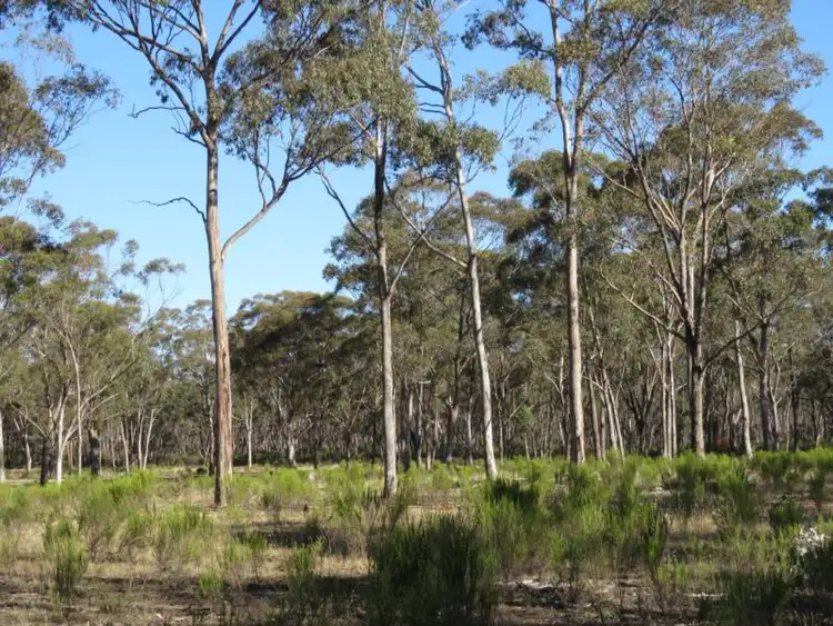 Fourth view of Homely rural property listing, Ca 14N,1C Quarry Track, Talbot VIC 3371