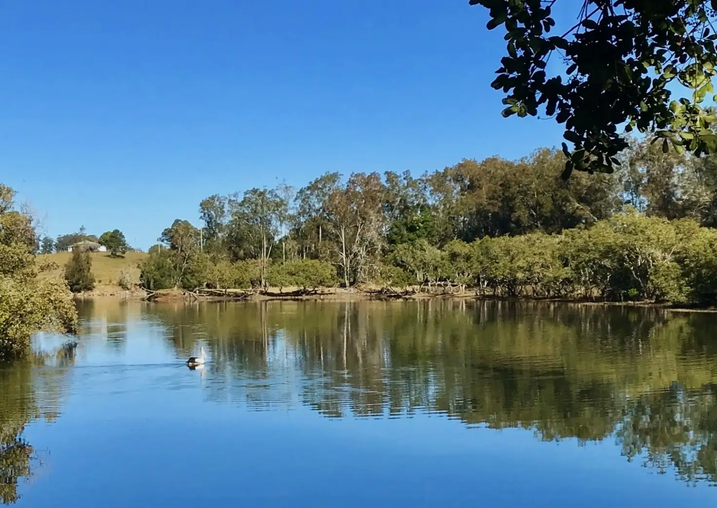 Main view of Homely land listing, 449 Rodeo Drive, Wirrimbi NSW 2447