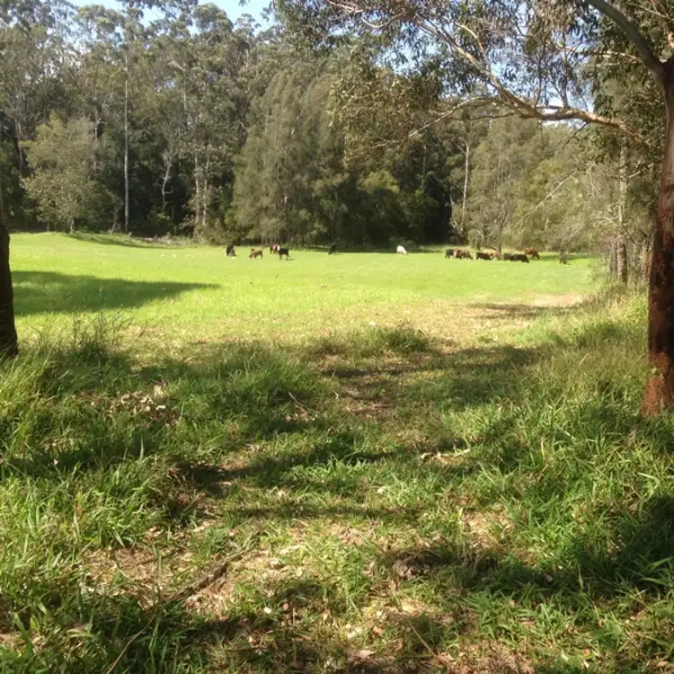 Second view of Homely land listing, 449 Rodeo Drive, Wirrimbi NSW 2447