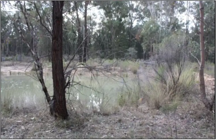Main view of Homely rural property listing, 223 Werribee Road, Coolah NSW 2843