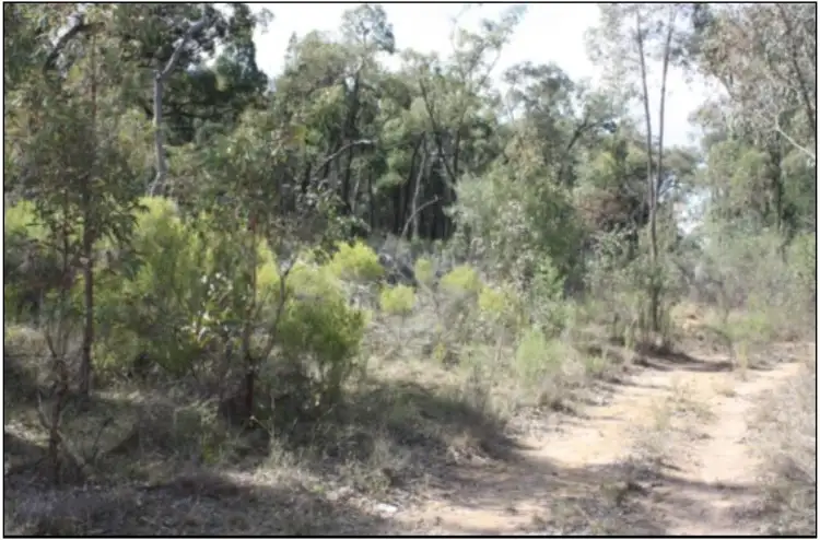 Third view of Homely rural property listing, 223 Werribee Road, Coolah NSW 2843