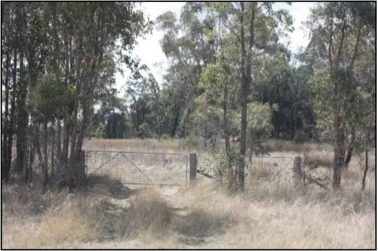 Fourth view of Homely rural property listing, 223 Werribee Road, Coolah NSW 2843