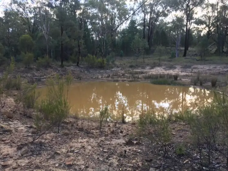 Seventh view of Homely rural property listing, 223 Werribee Road, Coolah NSW 2843