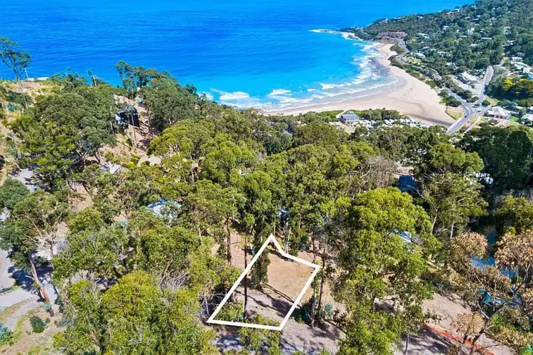 Main view of Homely house listing, 10 Durimbil Avenue, Wye River VIC 3221