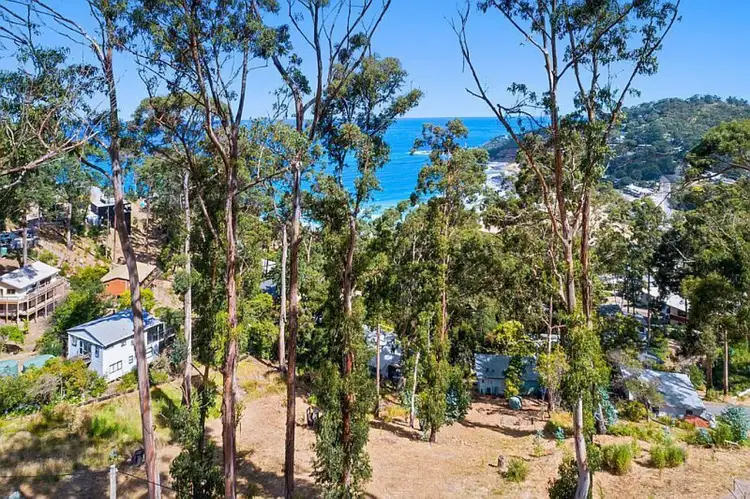 Fifth view of Homely house listing, 10 Durimbil Avenue, Wye River VIC 3221