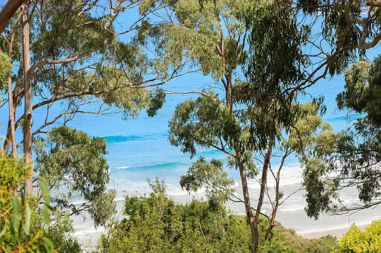 Seventh view of Homely house listing, 10 Durimbil Avenue, Wye River VIC 3221