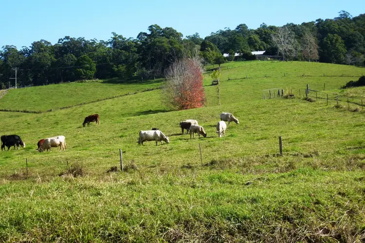 Fourth view of Homely other listing, Lot 22/150 Hydes Creek Road, Bellingen NSW 2454