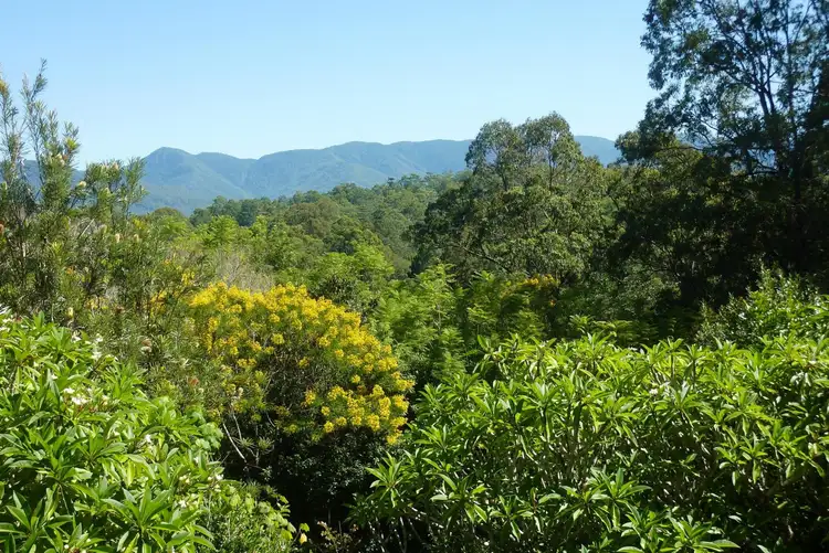 Second view of Homely house listing, 131 Bowraville Road, Bellingen NSW 2454