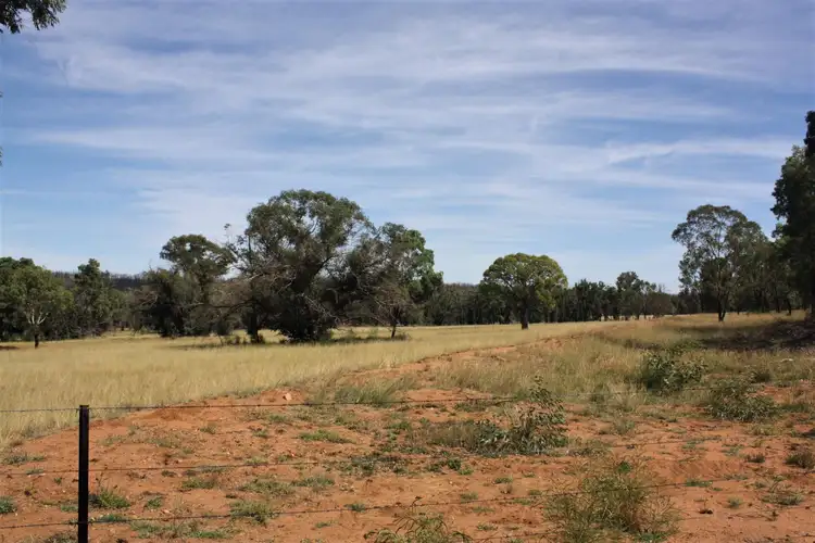 Second view of Homely rural property listing, 550 Cainbil Road, Coolah NSW 2843