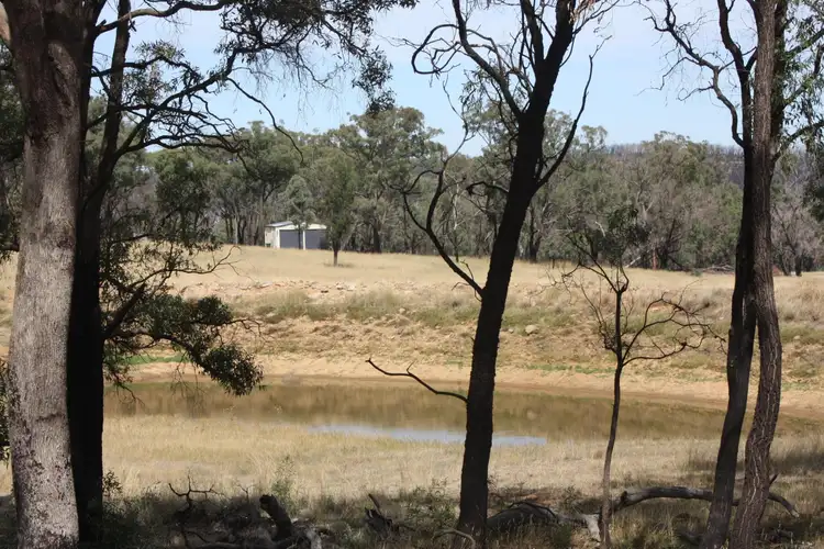 Fourth view of Homely rural property listing, 550 Cainbil Road, Coolah NSW 2843