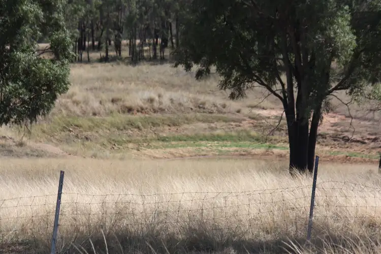 Sixth view of Homely rural property listing, 550 Cainbil Road, Coolah NSW 2843