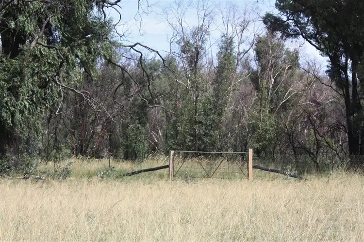 Seventh view of Homely rural property listing, 550 Cainbil Road, Coolah NSW 2843