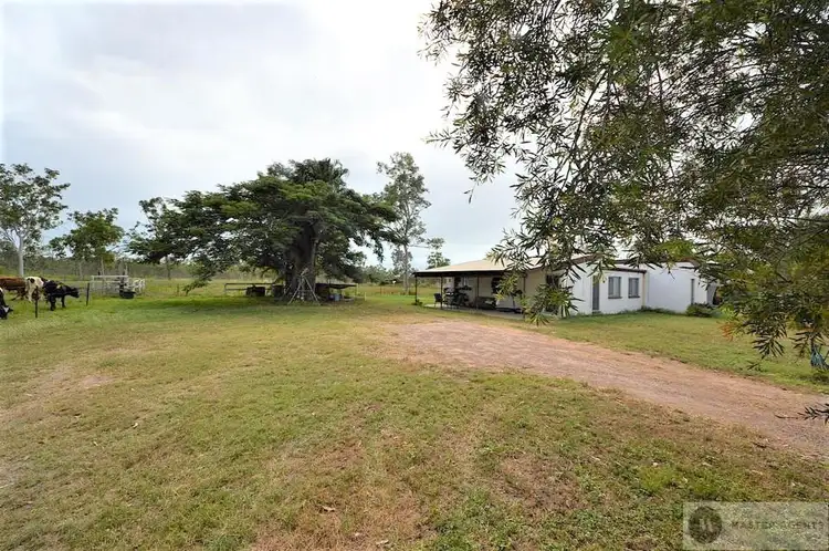 Main view of Homely house listing, 7 Moree Road, Black River QLD 4818