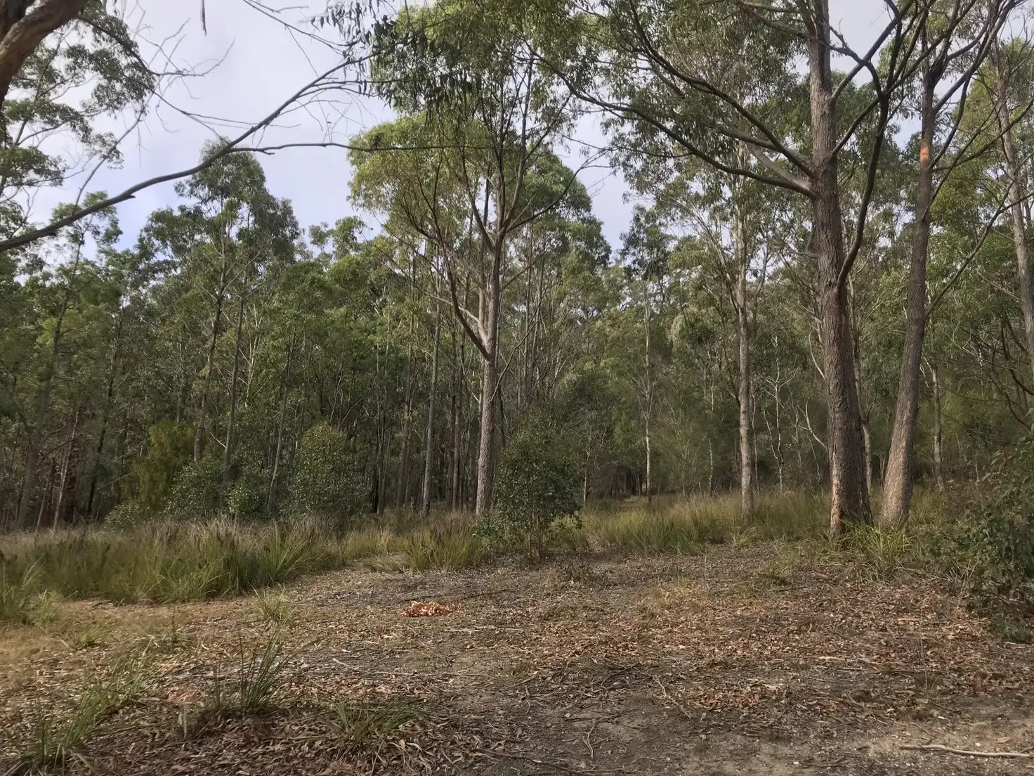 Main view of Homely land listing, Lot 38 Bournda Park Way, Wallagoot NSW 2550