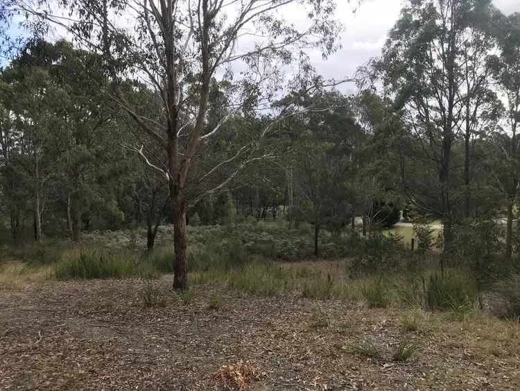 Fourth view of Homely land listing, Lot 38 Bournda Park Way, Wallagoot NSW 2550