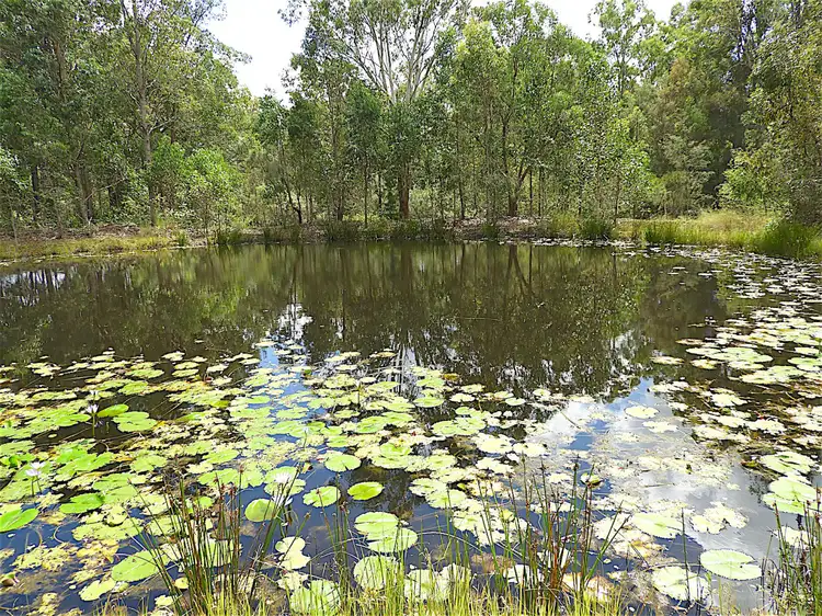 Main view of Homely rural property listing, Lot 550 Clarence Way, Old Bonalbo NSW 2469