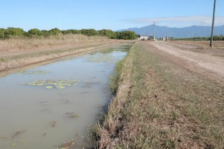 Seventh view of Homely rural property listing, 32875 Bruce Highway, Horseshoe Lagoon QLD 4809