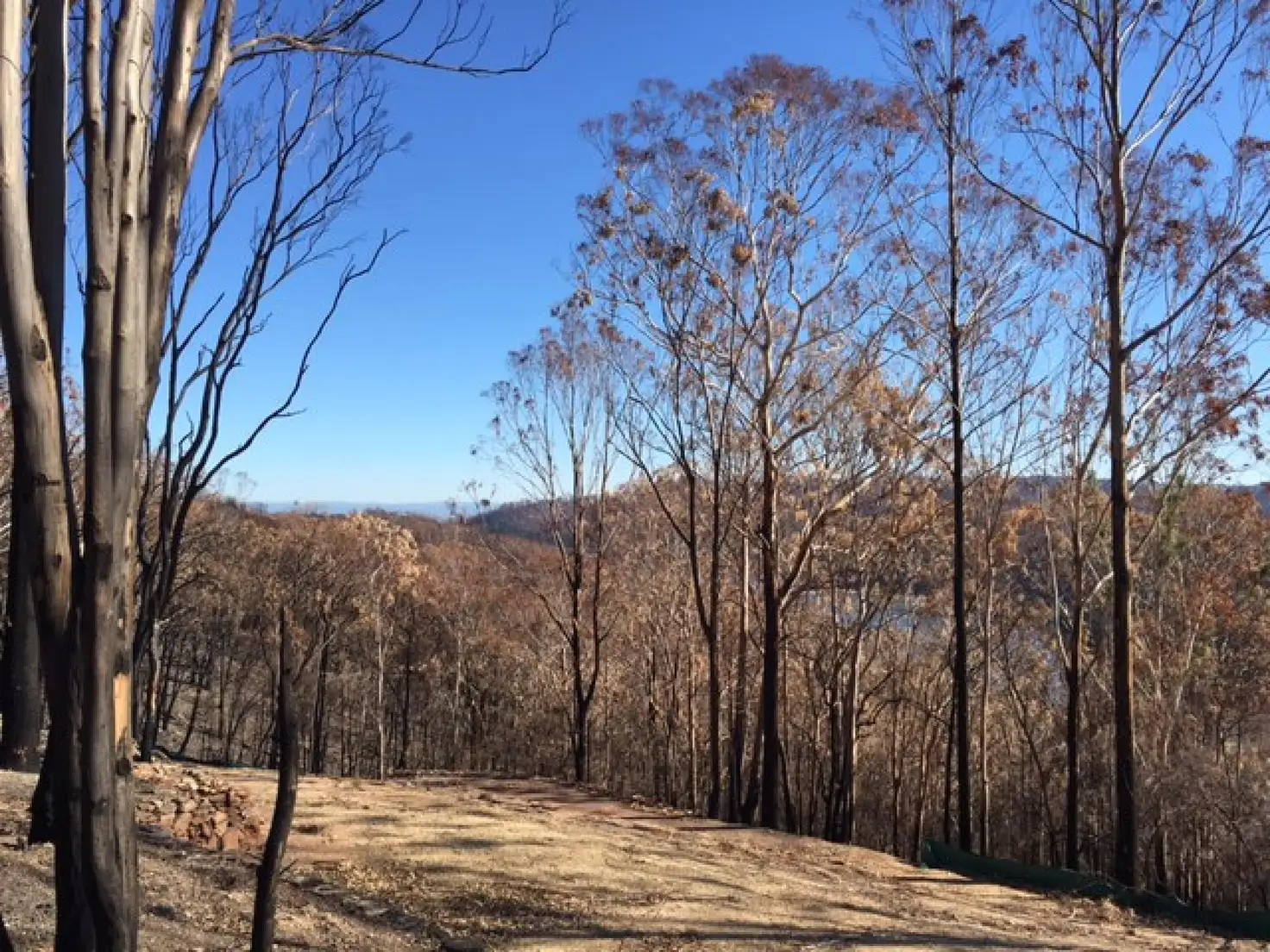 Main view of Homely land listing, 1 THOMPSON Drive, Tathra NSW 2550
