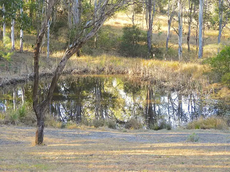 Main view of Homely rural property listing, Address available on request