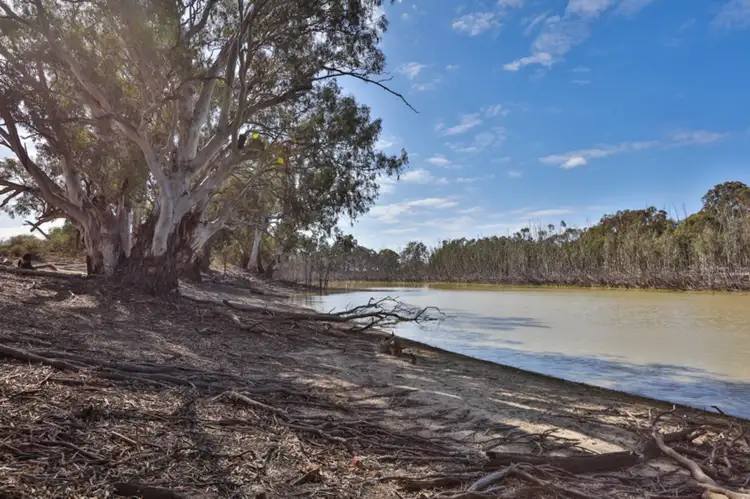 Fourth view of Homely rural property listing, Lot 10 Old Renmark Road, Wentworth NSW 2648