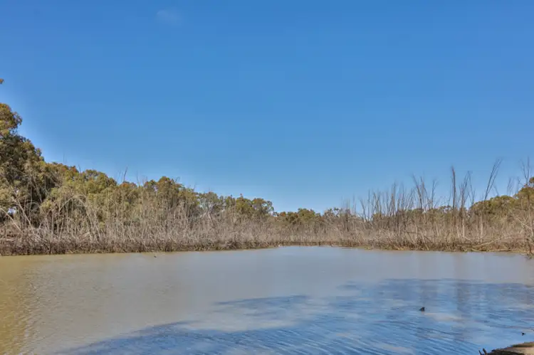 Fifth view of Homely rural property listing, Lot 10 Old Renmark Road, Wentworth NSW 2648