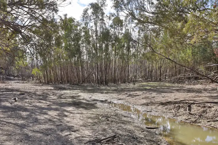 Sixth view of Homely rural property listing, Lot 10 Old Renmark Road, Wentworth NSW 2648