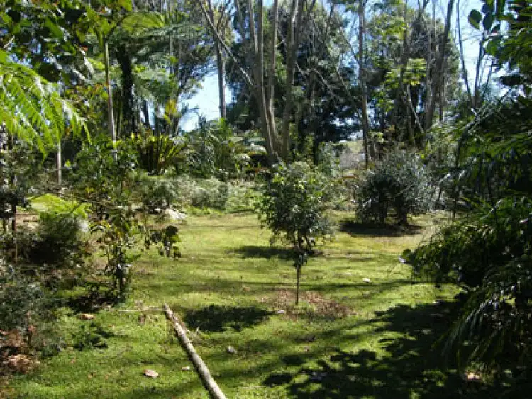 Second view of Homely house listing, 81 McCarthy Road, Maleny QLD 4552
