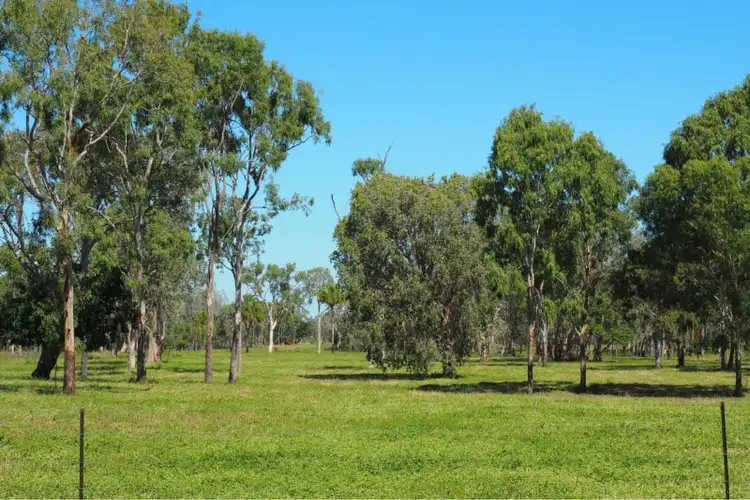 Seventh view of Homely rural property listing, 1244 Groper Creek Road, Inkerman QLD 4806