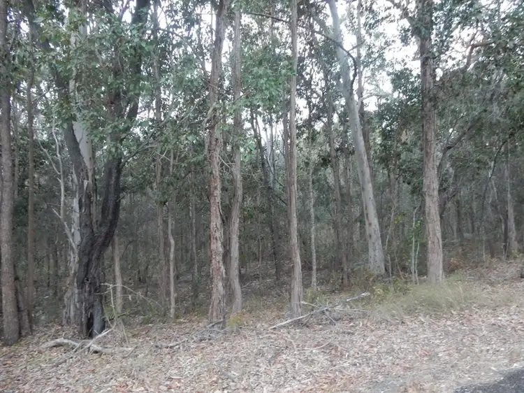 Lot 25 Counter Road, Wolvi QLD 4570
