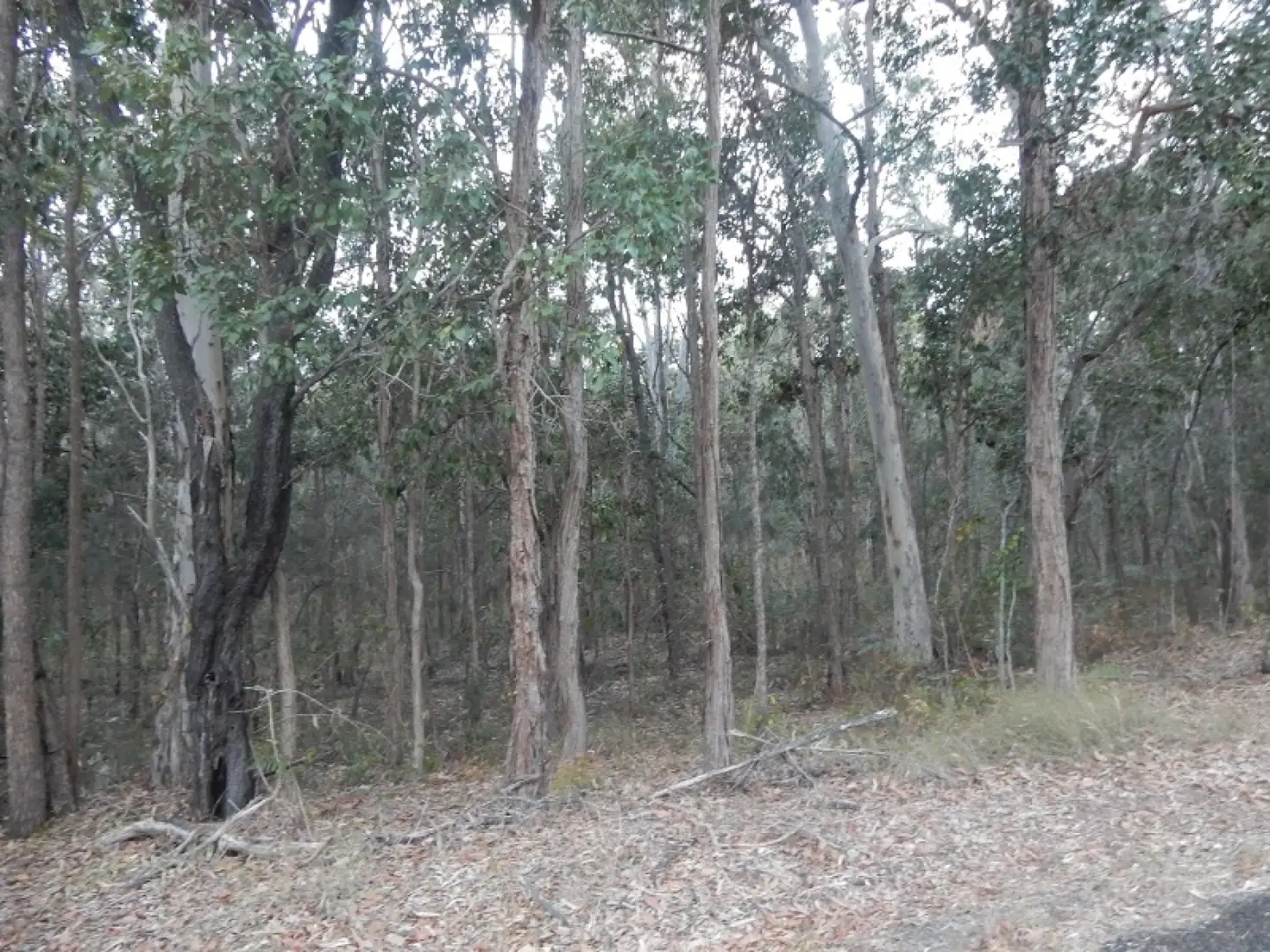 Main view of Homely land listing, Lot 25 Counter Road, Wolvi QLD 4570