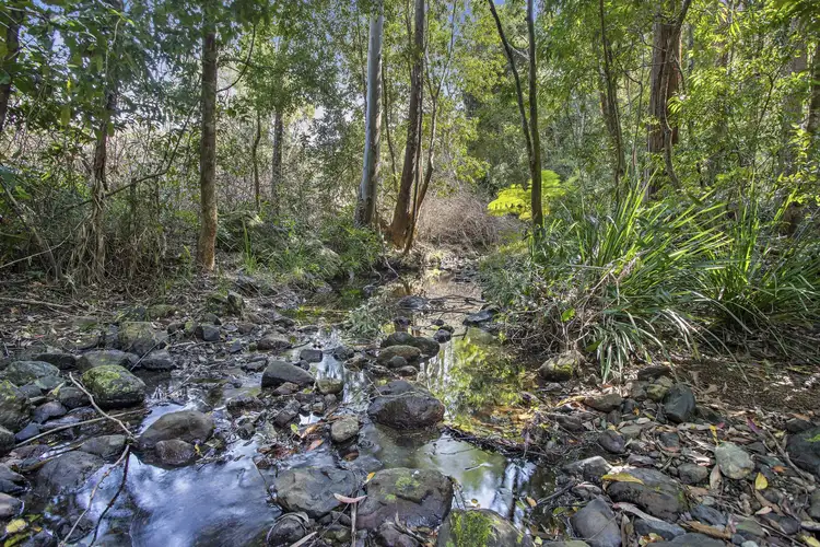 Third view of Homely land listing, 77 McGraths Road, Thora NSW 2454