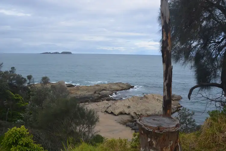 Second view of Homely house listing, 37 Burrawang Avenue, Sunshine Bay NSW 2536