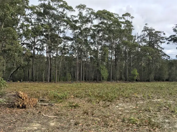 Lot 14 Shady Lane, Kalaru NSW 2550