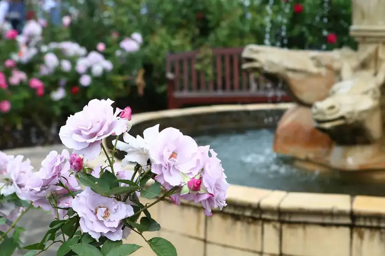 Sixth view of Homely apartment listing, Address available on request